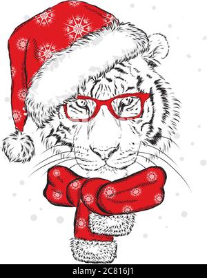 Tiger in Weihnachtshut und Sonnenbrille. Drucken Sie auf einer Postkarte oder einem Poster. Vektorgrafik. Urlaubskarte. Neujahr und Weihnachten. Weihnachtsmann. Stock Vektor
