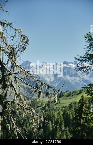 Schöne vertikale Ansicht der Saint Dalmas de Valdeblore, Alpes Maritimes, Frankreich Stockfoto