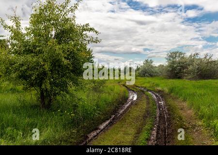 Landschaftlich nass nach Regen Schmutz schlammigen Straße durch Bäume und grüne Grasfeld Wiesen vor blauen schlauen Hintergrund. Russische ländliche Landschaft rustikal Stockfoto
