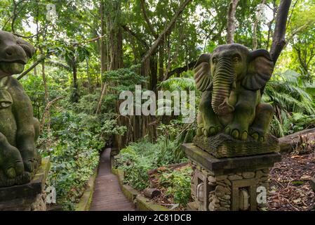 Blick auf den heiligen Affenwald in Ubud Stockfoto