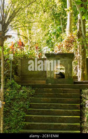Blick auf den heiligen Affenwald in Ubud Stockfoto