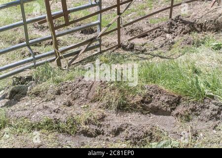 Verzinktes Metall Farm Tor gegenüber Feldeingang während heißen Sommerwetter in Großbritannien. Harte Schatten im Sonnenlicht. Stockfoto