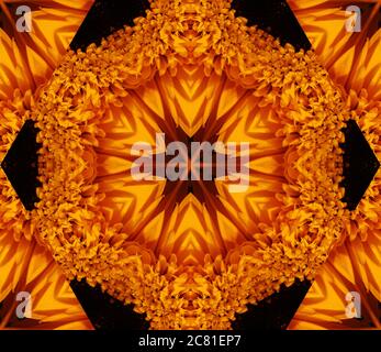 Abstrakter Hintergrund mit geometrischem kaleidoskopischem Design aus gelben Gerbera-Gänseblümchen, Blumenmuster mit orangefarbenen Farbtönen und schwarzen Details Stockfoto