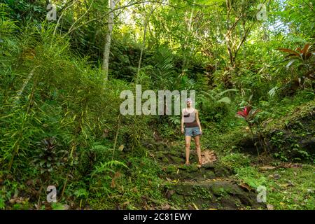 Blick auf einen Touristen im heiligen Affenwald Stockfoto