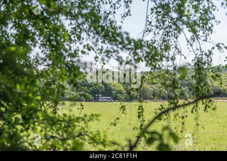 Entfernte schwarze Polywrap umwickelte Heuballen gestapelt, und durch Heckenschurz gesehen. Metapher UK Landwirtschaft Industrie, & auch Kunststoff-Anwendungen in der Landwirtschaft. Stockfoto