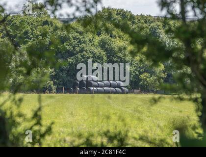 Entfernte schwarze Polywrap umwickelte Heuballen gestapelt, und durch Heckenschurz gesehen. Metapher UK Landwirtschaft Industrie, & auch Kunststoff-Anwendungen in der Landwirtschaft. Stockfoto