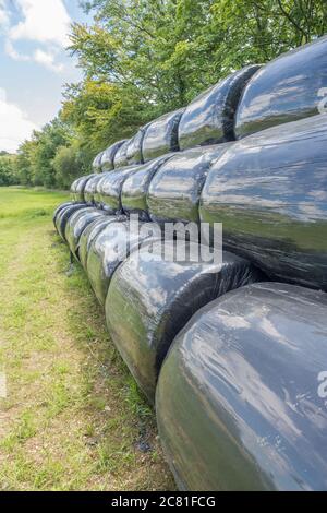 Schwarze Polywrap umwickelte Heuballen im Sommer Sonnenschein reflektieren Sonne und Gras im Feld. Metapher UK Landwirtschaft Industrie, & auch Kunststoff-Anwendungen, Stockfoto