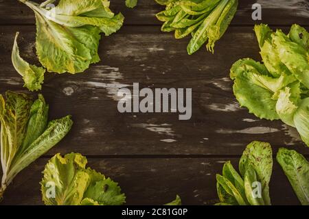 Rahmen aus frischen Salat leaveson einem hölzernen dunklen Tisch Batavia Salat Copy Space Stockfoto