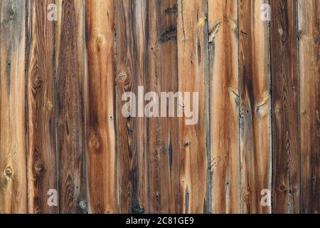 Alte Fichtenplanken Textur. Fichtenbretter auf altem Zaun, Tisch oder Boden, Textur eines natürlichen Baumes. Stockfoto