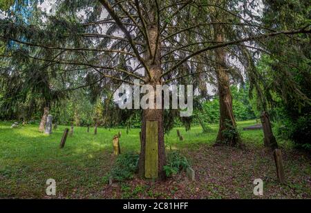 Eine einzigartige Reihe von Grabsteinen auf dem Friedhof Velemér, Ungarn.Es gibt keine Verschönerung auf ihnen außer den Inschriften. Stockfoto