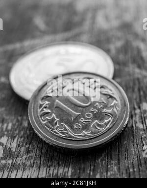 POZNAN, POLEN - 03. Jul 2020: Nahaufnahme einer kleinen polnischen zehn-Groszy-Münze auf einer Holzfläche mit weichem Fokus und monochromen Tönen Stockfoto