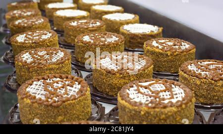 Die leckere Schokolade Keks Kuchen mit Kondensmilch und Pflaumen in der Süßwarenindustrie. Die Desserts und Süßigkeiten, Torte Stockfoto