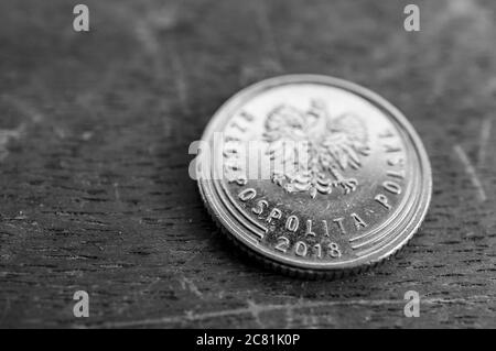 POSEN, POLEN - 03. Jul 2020: Polnische Silbermünze auf einer Holzfläche Stockfoto