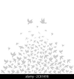 Silhouetten von fliegenden Vögeln, Vektorgrafik. Stock Vektor