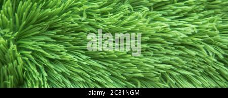 Abstrakt grünen Pelz Hintergrund. Stockfoto