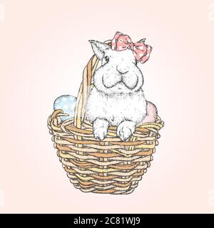 Niedliches süßes Häschen in einem Korb mit Ostereiern. Vektorgrafik. Frühlingsurlaub. Stock Vektor