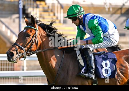 Kettle Hill von Tom Marquand geritten gewinnt die Gratis-Tipps täglich auf attheraces.com Maiden Stakes (Div II) auf Windsor Racecourse. Stockfoto