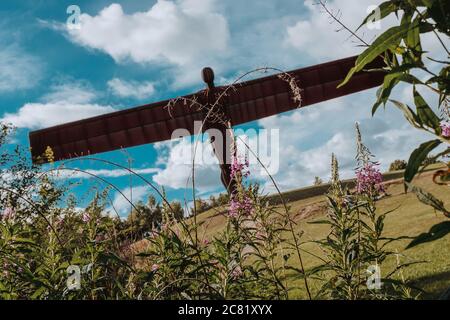 Der Engel des Nordens, Gateshead, UK Stockfoto