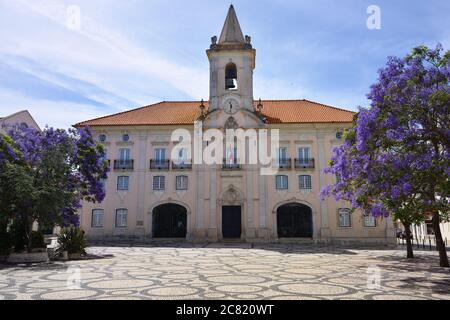 Blühende Glyzinie und Blick auf die gemeinsame Halle Camara Municipal de Aveiro in Praca da Republica von Aveiro Portugal Stockfoto