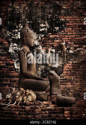 Affen klettern auf einer buddha-Statue in Prang Sam Yod Tempel, Lopburi, Thailand, Südostasien Stockfoto