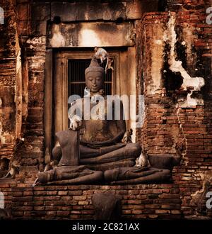 Affen klettern auf einer buddha-Statue in Prang Sam Yod Tempel, Lopburi, Thailand, Südostasien Stockfoto