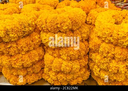 Farbenfrohe und geschäftige Pak Khlong Talat Blumenmarkt in Bangkok hat eine riesige Auswahl an Flora. Gelbe Blumen schließen.Blumen Hintergrund Stockfoto