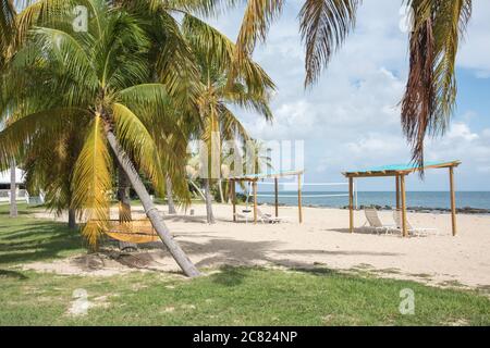 Christiansted, St. Croix, USVI-September 23,2019: Tamarind Reef Resort Strandschatten auf St. Croix in den tropischen US Virgin Islands. Stockfoto