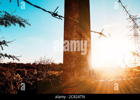 Verzinkter Gitterzaunzaunung. Feldzaun bei Sonnenaufgang am Morgen mit Strom auf dem Hintergrund in ländlichen Raum Stockfoto