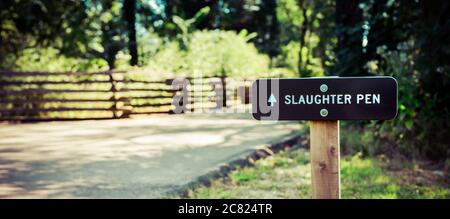 Nahaufnahme des Schildes für den Slaughter Pen, wo Soldaten in der Bürgerkriegsschlacht auf dem Schlachtfeld am Stones River in Murfreesboro, TN, USA, Gemetzel erlitten Stockfoto