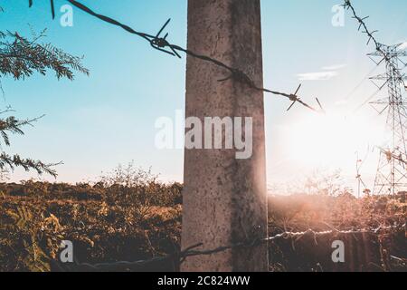 Verzinkter Gitterzaunzaunung. Feldzaun bei Sonnenaufgang am Morgen mit Strom auf dem Hintergrund in ländlichen Raum Stockfoto