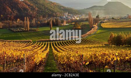 Weinberge und das Dorf Valserres im Herbst bei Sonnenuntergang (Panorama). Weingut und Weinreben in den Hautes-Alpes, Avance Valley Stockfoto