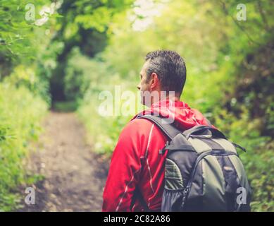 Nahaufnahme des Menschen (oberer Teil) in ländlicher Umgebung, Großbritannien, im Sommer mit Rucksack auf Waldweg zu Fuß. Stockfoto