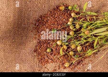 Nahaufnahme Leinsamen in einem Holzlöffel. Zusammensetzung mit , Leinsamen und Pflanzen auf Sacktuch. Bio gesunde Lebensmittel Hintergrund. Stockfoto