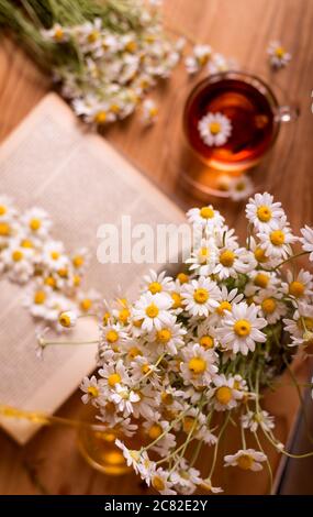 Eine Tasse heißen Kräutertee mit Kamillenblumen öffnete das Buch auf einem Holztisch. Frühstück Konzept am Morgen Hintergrund. Stockfoto