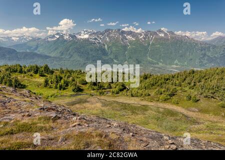 Alpine Wiese mit Blick auf Placer River Valley in Chugach National Forest in Southcentral Alaska. Stockfoto