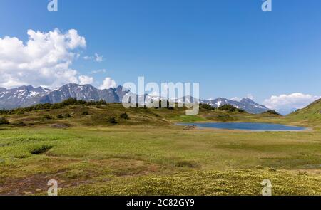 Alpine Wiese und tarn bei Spencer Bench im Chugach National Forest in Südzentralalaska. Stockfoto