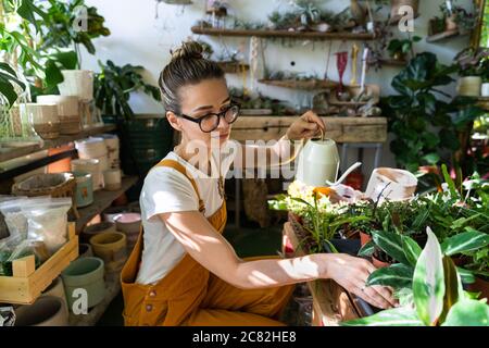 Frau Gärtner in orange Overalls Bewässerung Topfpflanze im Gewächshaus von Pflanzen und Töpfen umgeben, mit weißen Gießkanne Metall. Home Gardeni Stockfoto