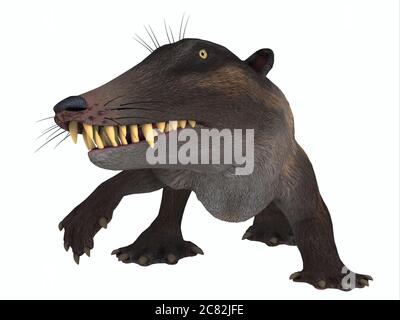 Ambulocetus war der primitive Otter-ähnliche Vorfahr des Wals und lebte in Pakistan und Indien während der Eozän Periode. Stockfoto