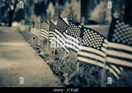 Eine ausgewählte Fokus, niedrige Winkel Ansicht einer Anzeige von Miniatur amerikanischen Fahnen im Gras, in einer patriotischen Anzeige in den USA in Split-Ton Stockfoto