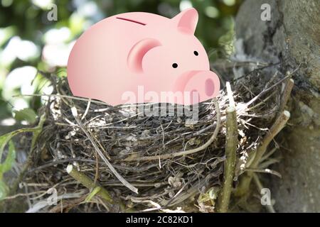 Nahaufnahme eines Vogelnests mit einem rosa Schweinchen bank auf verschwommene Natur Hintergrund Stockfoto