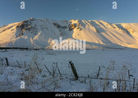 Viehzucht auf einem Schneefeld gegen Berge während der Wintersaison in Esquel, Patagonien, Argentinien Stockfoto