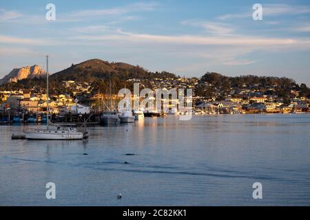 Angeln und Freizeitboote an einem Sommernachmittag in Morro Bay, Kalifornien Stockfoto
