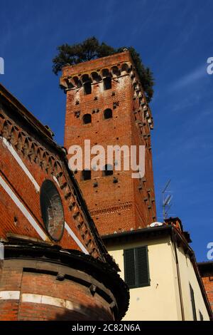 Der berühmte und charakteristische mittelalterliche Guinigi-Turm mit Eichen an der Spitze, errichtet im 14. Jahrhundert im historischen Zentrum von Lucca und heute ein Stockfoto