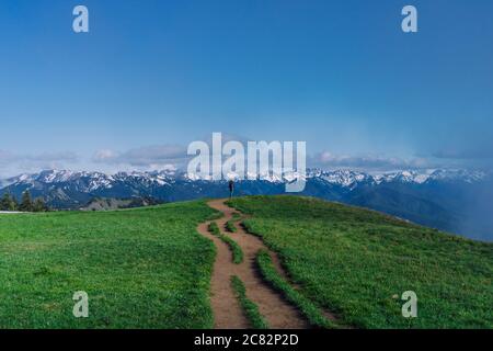 Winziger Wanderer am Ende des Weges auf der Spitze Der Grat im Olympic NP Stockfoto