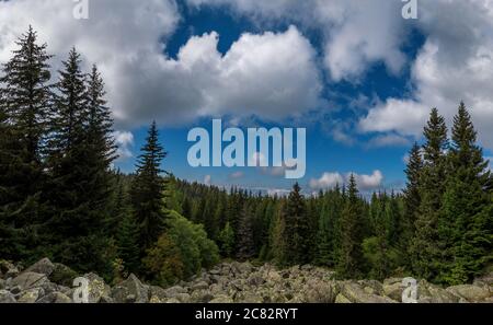 Goldene Brücken, Vitosha, Bulgarien im Herbst Stockfoto