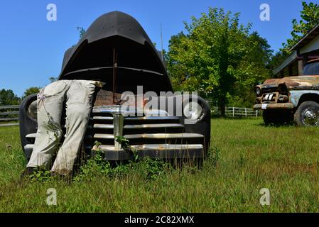 Niedriger Winkel EINER gefälschten Stadt Szene eines ausgestopften Dummy in Overalls lehnte in popped Haube auf alten 1940er Auto in ländlichen grünen Feld in mittleren TN, USA Stockfoto