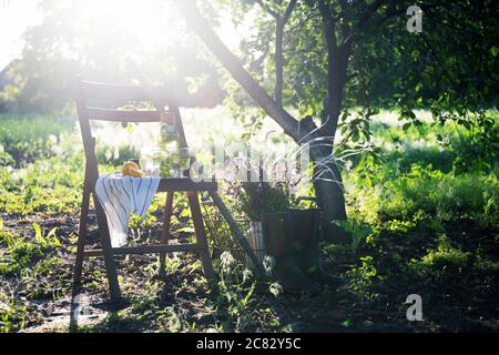 Stillleben - Limonade mit Zitrone, Gurke und Minze auf einem Vintage-Holzstuhl im Garten. Milchkanne mit wilden Blumen. Atmosphäre und Stimmung Stockfoto