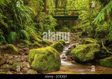 Lange Exposition eines kleinen Baches zwischen moosigen Felsbrocken in einem üppigen Regenwald, mit einer Holzbrücke im Hintergrund. South Island, Neuseeland. Stockfoto