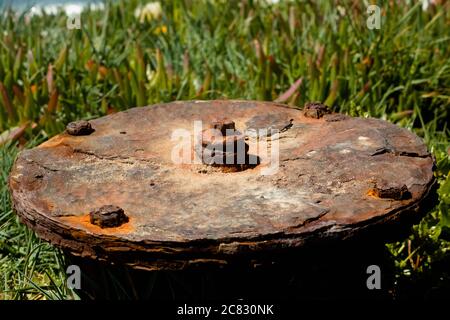 Selektive Fokusaufnahme einer alten rostigen Panzerabwehrmine unter Das Sonnenlicht im Grünen Stockfoto