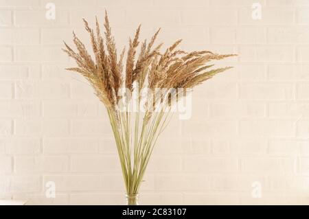 Bouquet von wilden Kräutern auf dem Hintergrund einer weißen Ziegelwand. Bouquet von wilden Kräutern auf dem Hintergrund einer weißen Ziegelwand. Ein minimalistisches, stilvolles, trendiges c Stockfoto